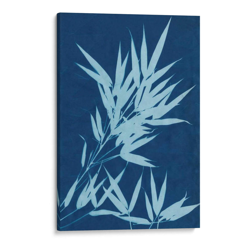 Cyanotype No.1 - Renee W. Stramel | Cuadro decorativo de Canvas Lab