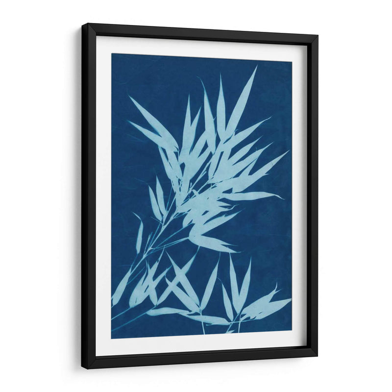 Cyanotype No.1 - Renee W. Stramel | Cuadro decorativo de Canvas Lab