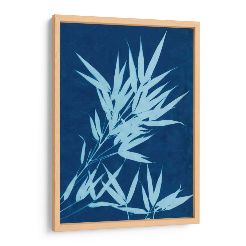 Cyanotype No.1 - Renee W. Stramel | Cuadro decorativo de Canvas Lab