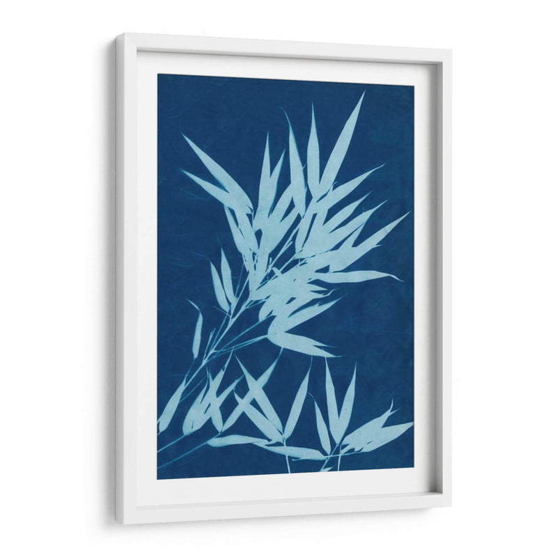 Cyanotype No.1 - Renee W. Stramel | Cuadro decorativo de Canvas Lab