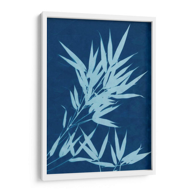 Cyanotype No.1 - Renee W. Stramel | Cuadro decorativo de Canvas Lab