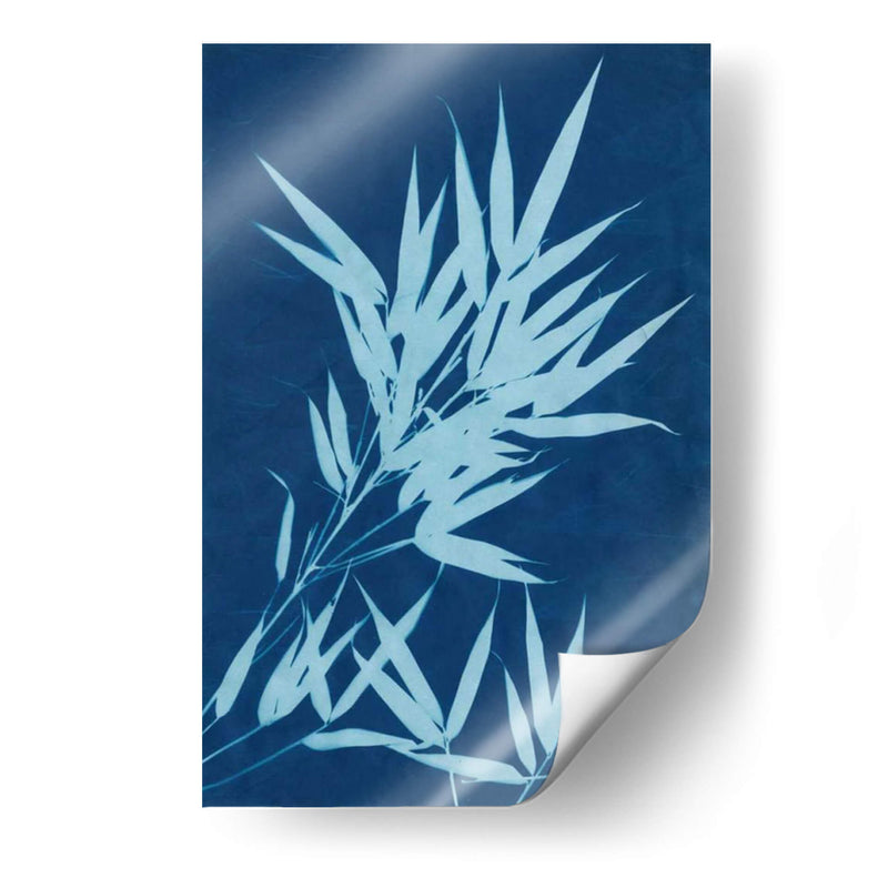 Cyanotype No.1 - Renee W. Stramel | Cuadro decorativo de Canvas Lab