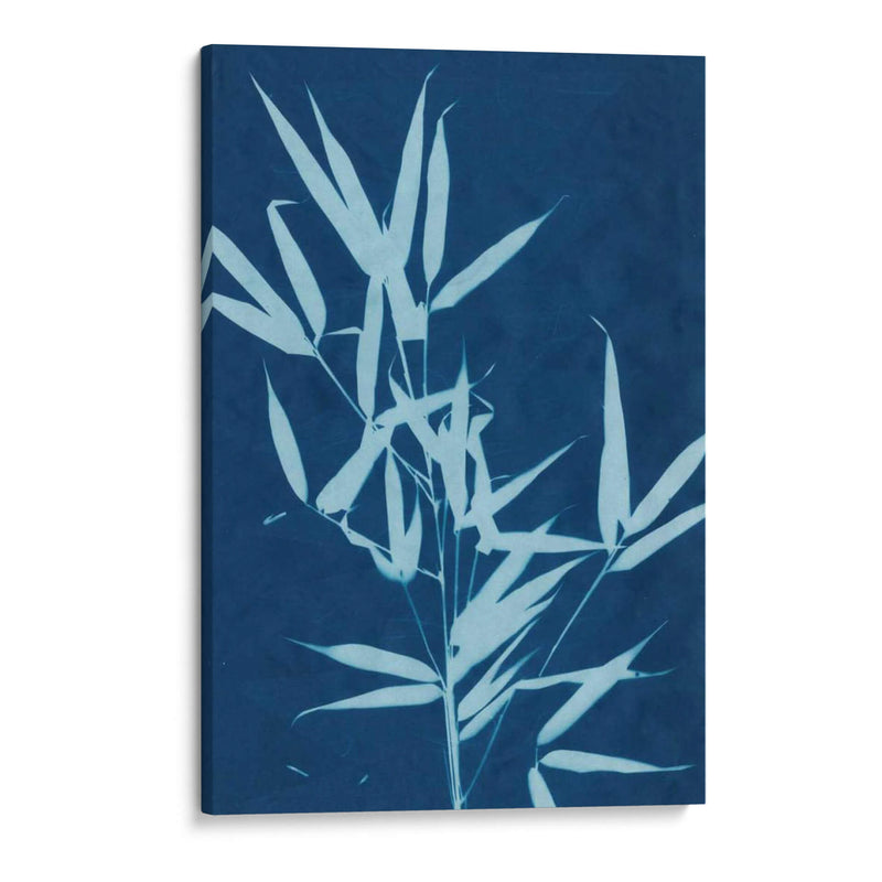 Cyanotype No.2 - Renee W. Stramel | Cuadro decorativo de Canvas Lab