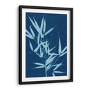 Cyanotype No.2 - Renee W. Stramel | Cuadro decorativo de Canvas Lab