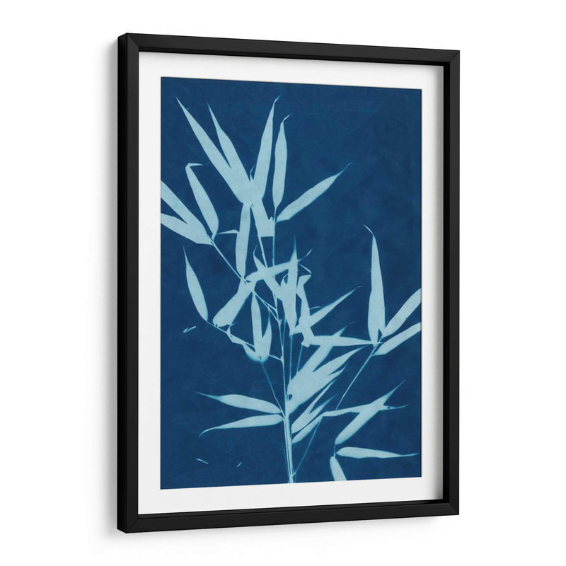 Cyanotype No.2 - Renee W. Stramel | Cuadro decorativo de Canvas Lab