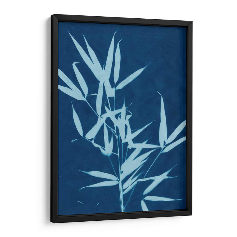 Cyanotype No.2 - Renee W. Stramel | Cuadro decorativo de Canvas Lab