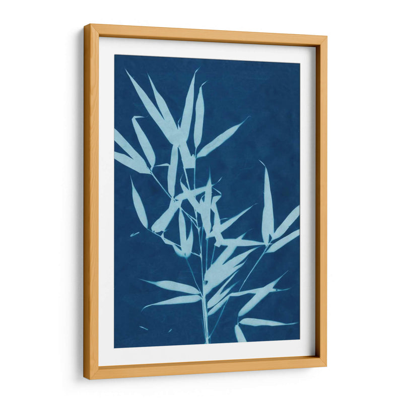 Cyanotype No.2 - Renee W. Stramel | Cuadro decorativo de Canvas Lab