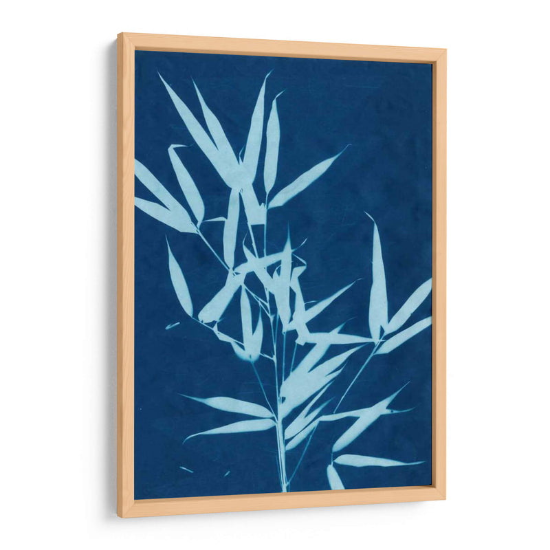 Cyanotype No.2 - Renee W. Stramel | Cuadro decorativo de Canvas Lab