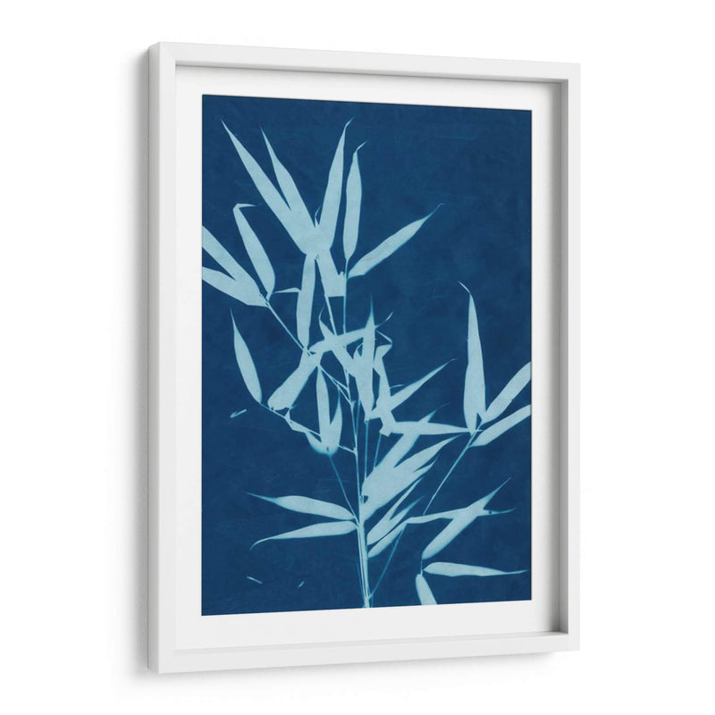 Cyanotype No.2 - Renee W. Stramel | Cuadro decorativo de Canvas Lab