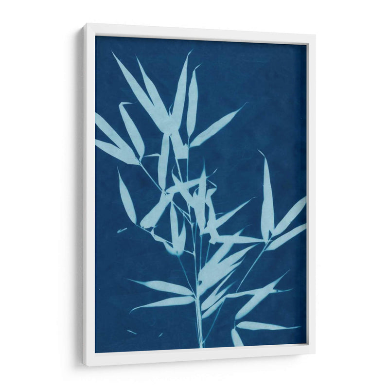 Cyanotype No.2 - Renee W. Stramel | Cuadro decorativo de Canvas Lab