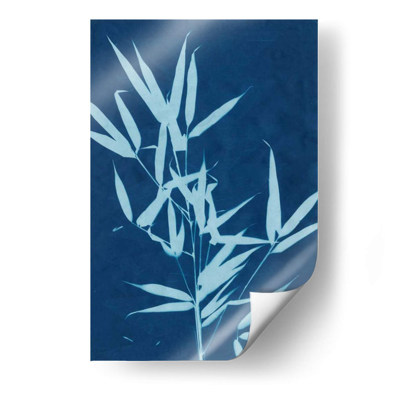 Cyanotype No.2 - Renee W. Stramel | Cuadro decorativo de Canvas Lab