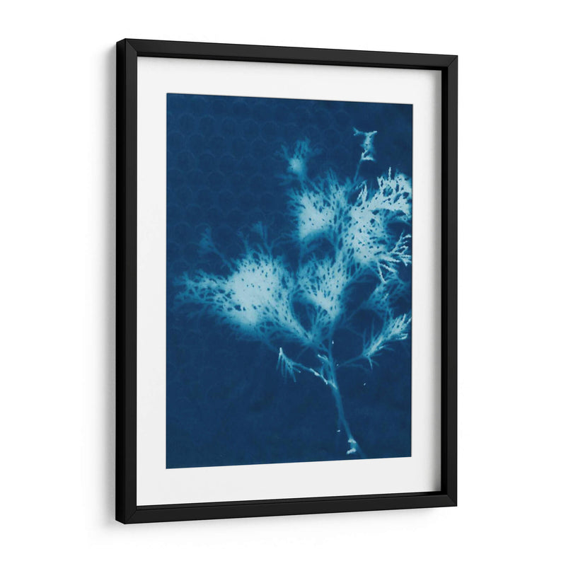 Cyanotype No.3 - Renee W. Stramel | Cuadro decorativo de Canvas Lab