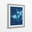 Cyanotype No.3 - Renee W. Stramel | Cuadro decorativo de Canvas Lab