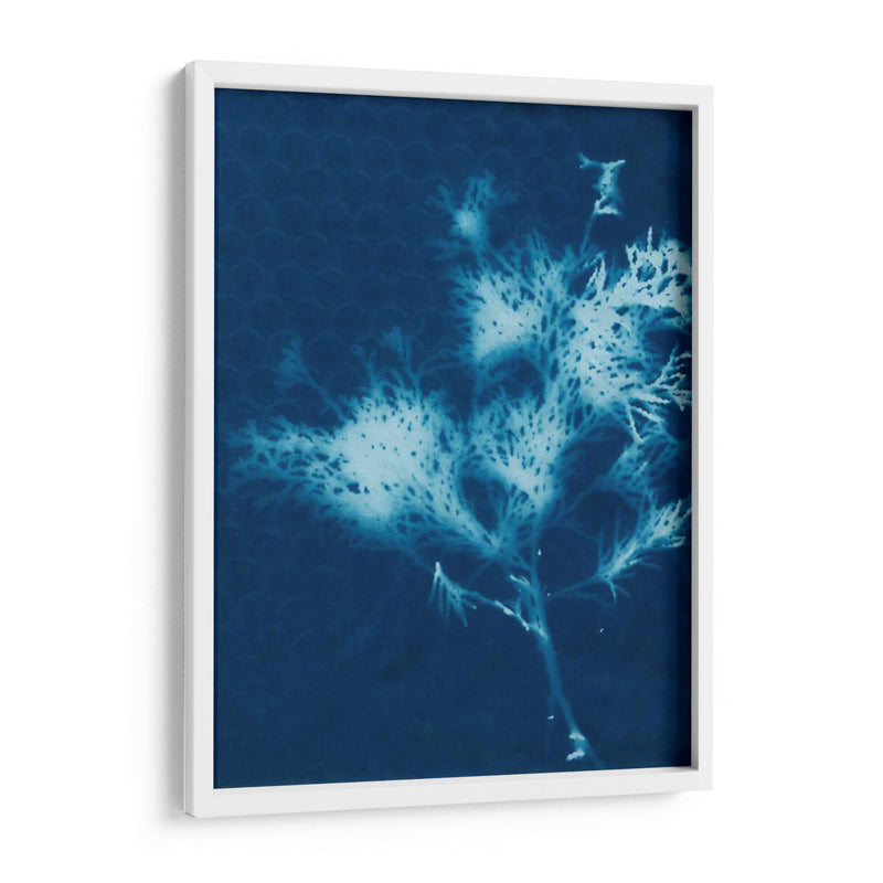 Cyanotype No.3 - Renee W. Stramel | Cuadro decorativo de Canvas Lab