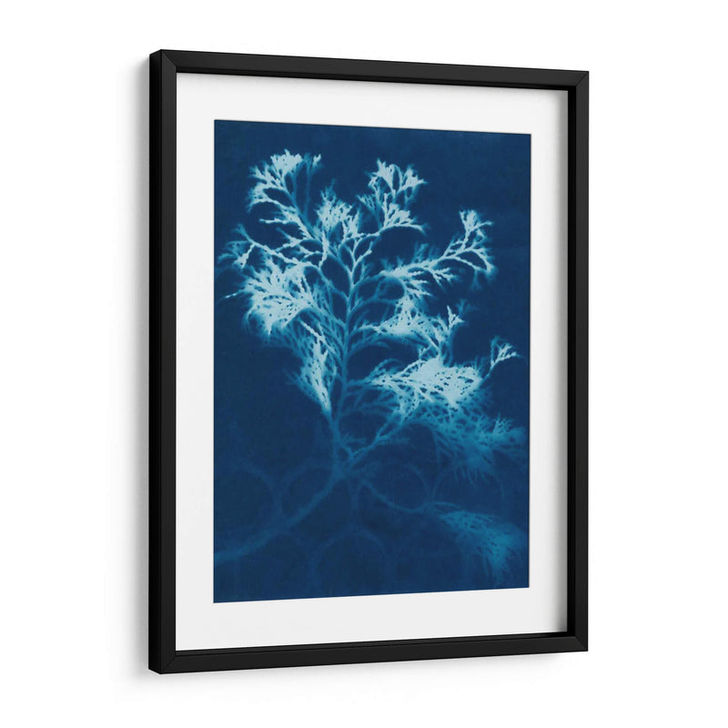 Cyanotype No.4 - Renee W. Stramel | Cuadro decorativo de Canvas Lab