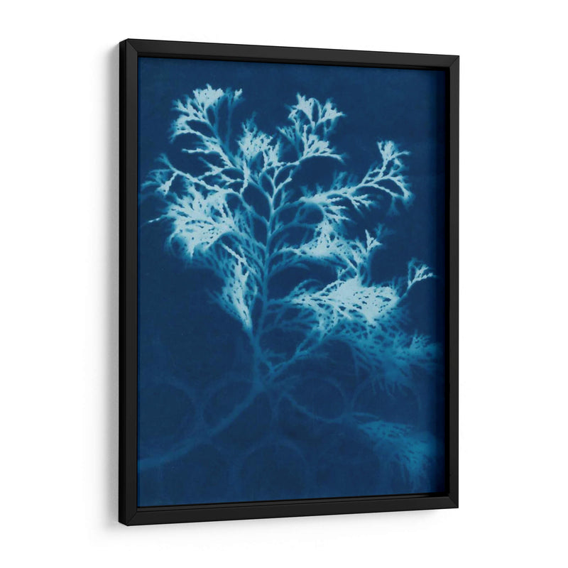 Cyanotype No.4 - Renee W. Stramel | Cuadro decorativo de Canvas Lab