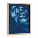 Cyanotype No.4 - Renee W. Stramel | Cuadro decorativo de Canvas Lab