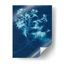 Cyanotype No.4 - Renee W. Stramel | Cuadro decorativo de Canvas Lab