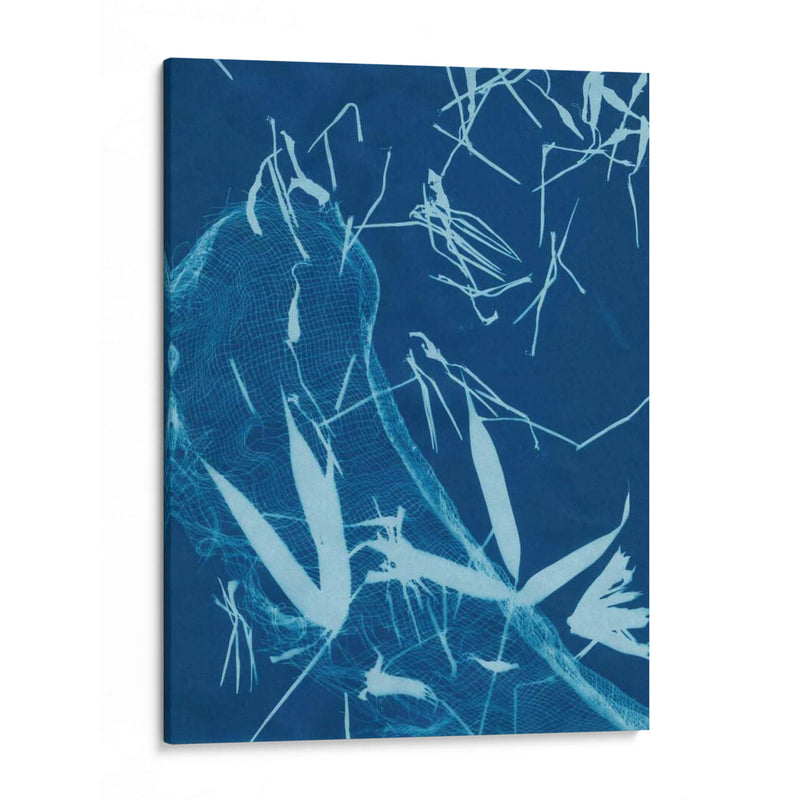 Cyanotype No.5 - Renee W. Stramel | Cuadro decorativo de Canvas Lab