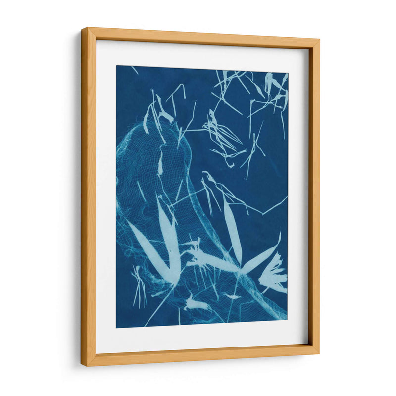 Cyanotype No.5 - Renee W. Stramel | Cuadro decorativo de Canvas Lab