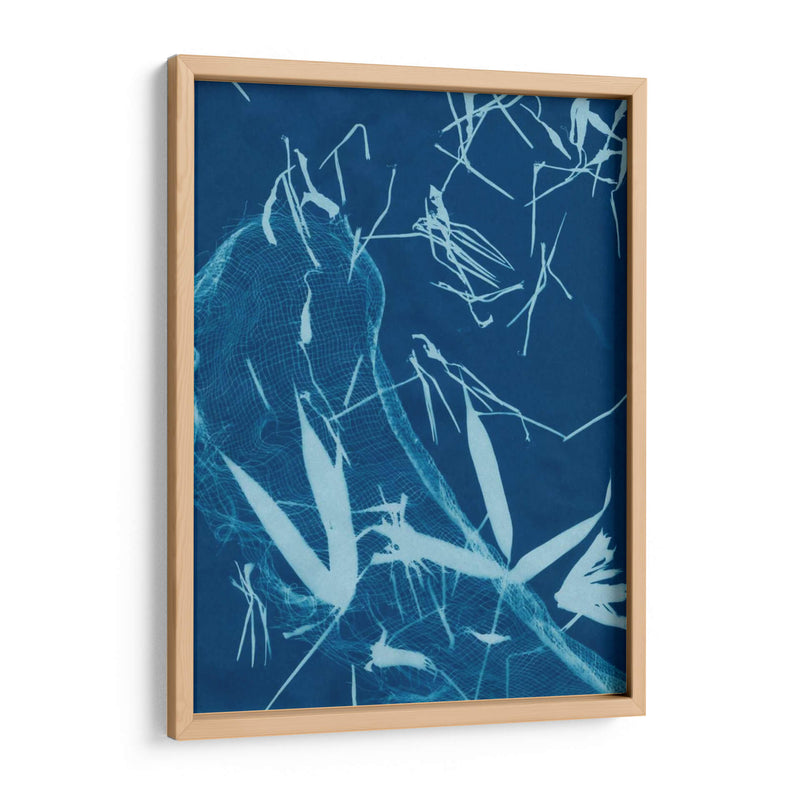 Cyanotype No.5 - Renee W. Stramel | Cuadro decorativo de Canvas Lab