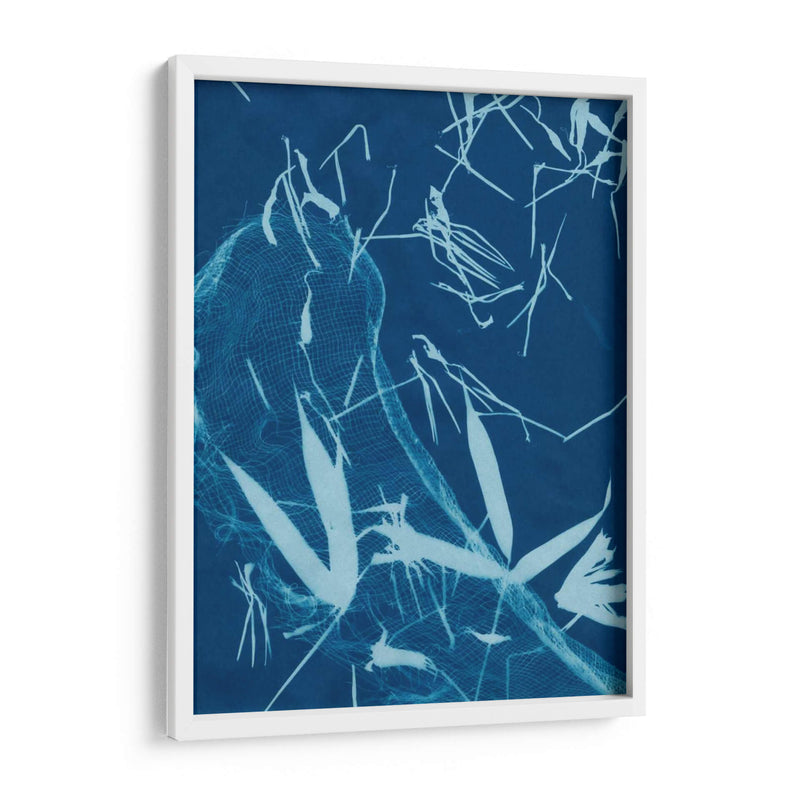 Cyanotype No.5 - Renee W. Stramel | Cuadro decorativo de Canvas Lab