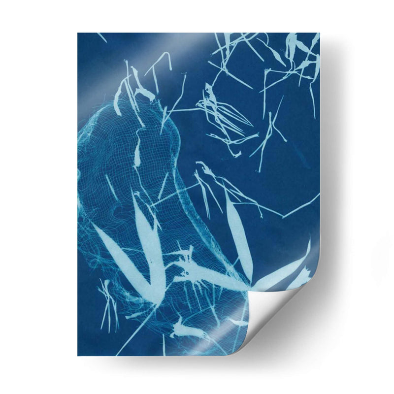 Cyanotype No.5 - Renee W. Stramel | Cuadro decorativo de Canvas Lab