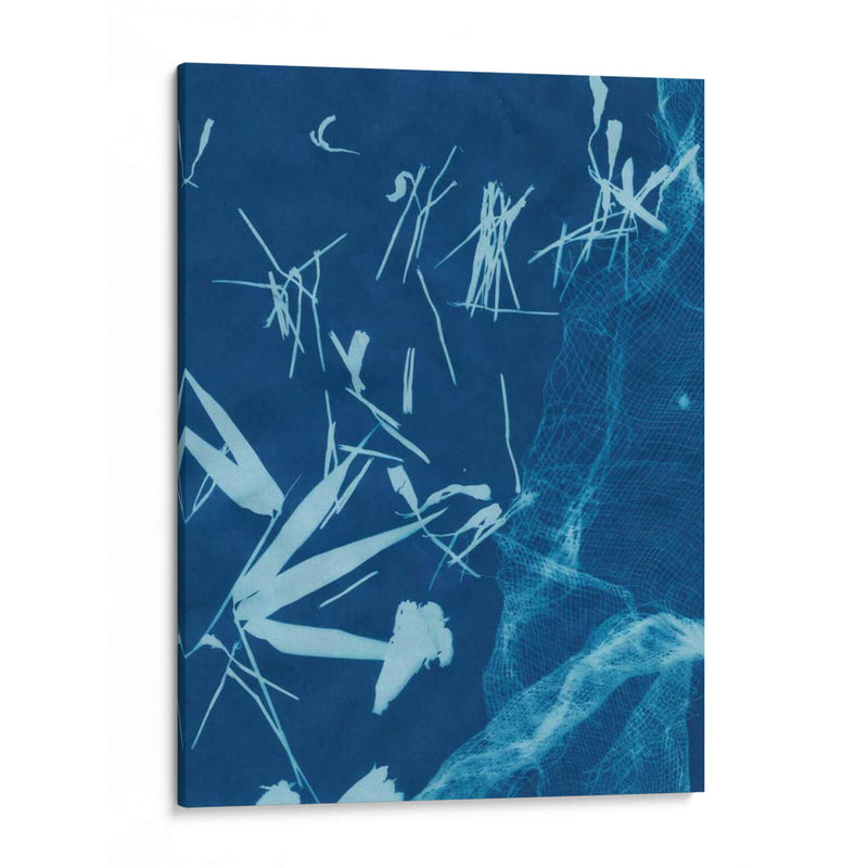 Cyanotype No.6 - Renee W. Stramel | Cuadro decorativo de Canvas Lab