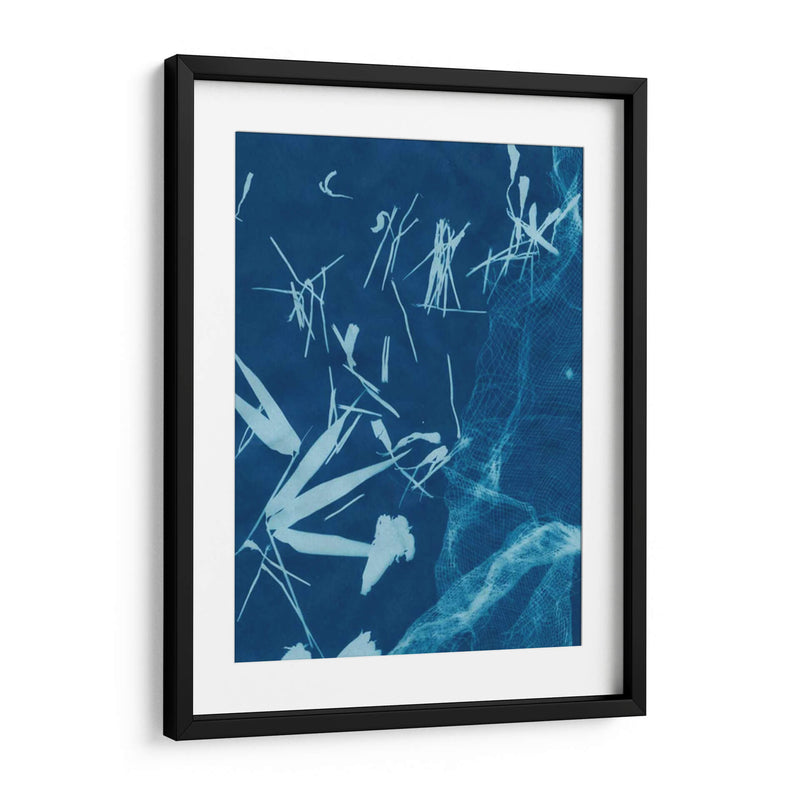 Cyanotype No.6 - Renee W. Stramel | Cuadro decorativo de Canvas Lab