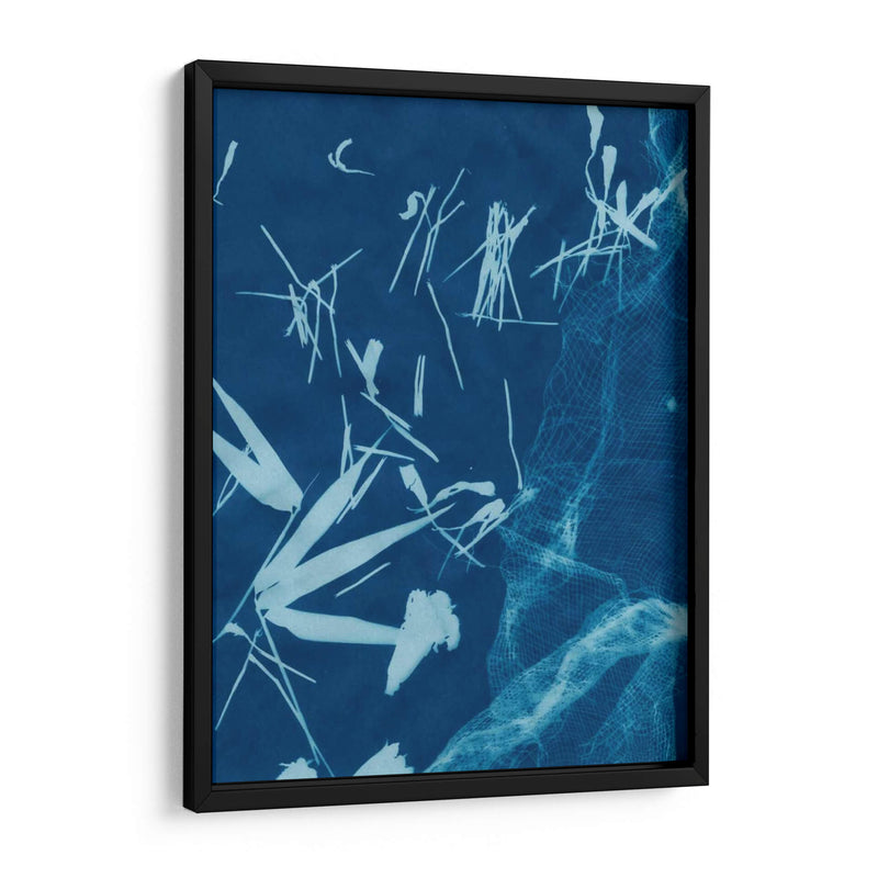 Cyanotype No.6 - Renee W. Stramel | Cuadro decorativo de Canvas Lab