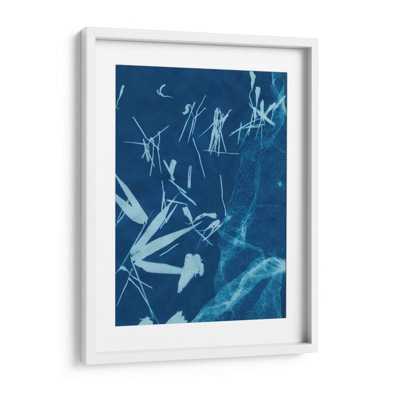 Cyanotype No.6 - Renee W. Stramel | Cuadro decorativo de Canvas Lab