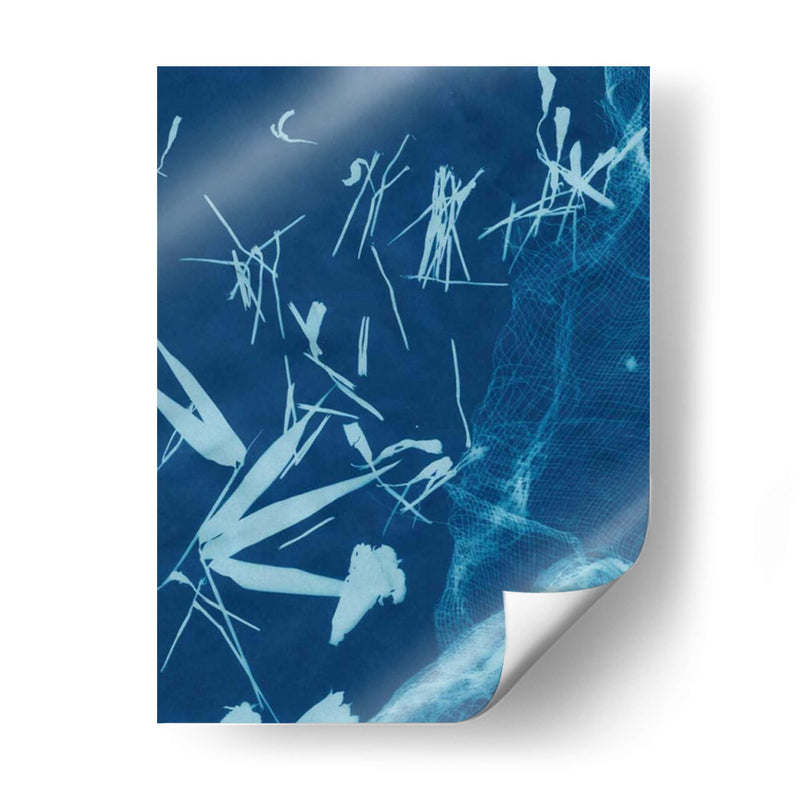 Cyanotype No.6 - Renee W. Stramel | Cuadro decorativo de Canvas Lab