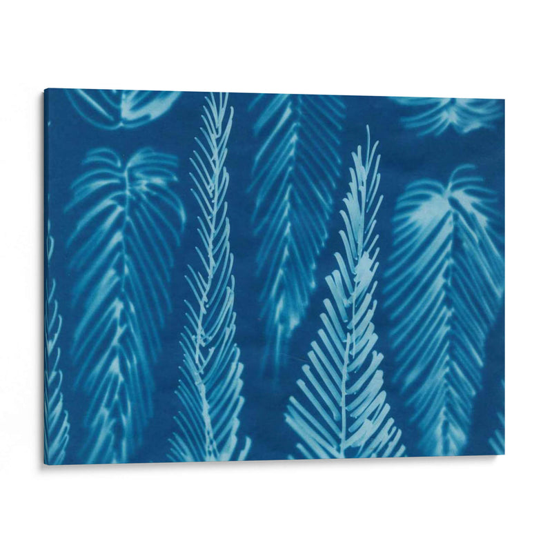 Cyanotype No.8 - Renee W. Stramel | Cuadro decorativo de Canvas Lab