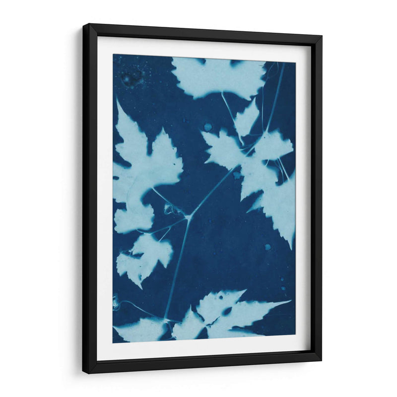 Cyanotype No.9 - Renee W. Stramel | Cuadro decorativo de Canvas Lab