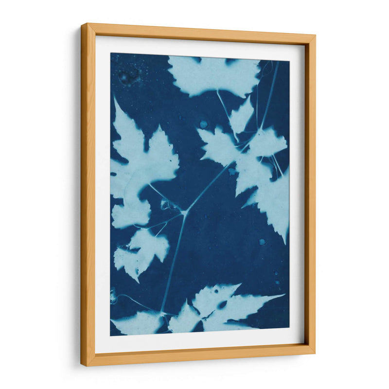 Cyanotype No.9 - Renee W. Stramel | Cuadro decorativo de Canvas Lab