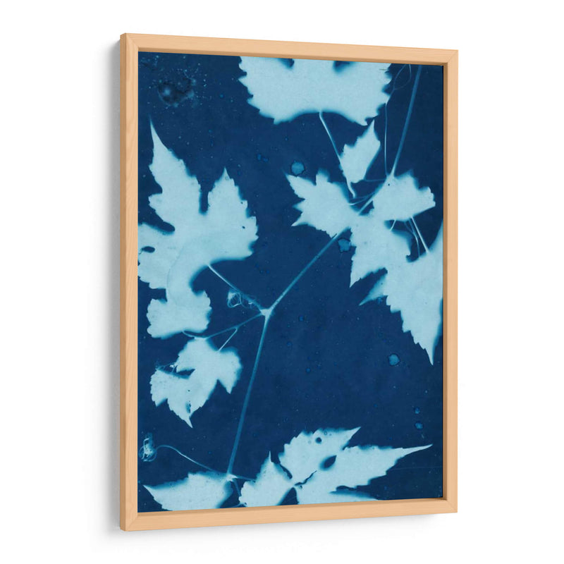 Cyanotype No.9 - Renee W. Stramel | Cuadro decorativo de Canvas Lab