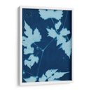 Cyanotype No.9 - Renee W. Stramel | Cuadro decorativo de Canvas Lab