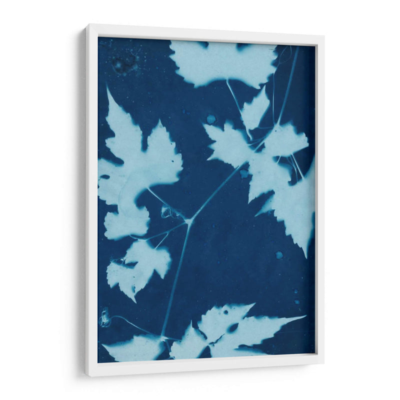 Cyanotype No.9 - Renee W. Stramel | Cuadro decorativo de Canvas Lab