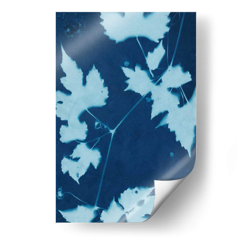 Cyanotype No.9 - Renee W. Stramel | Cuadro decorativo de Canvas Lab