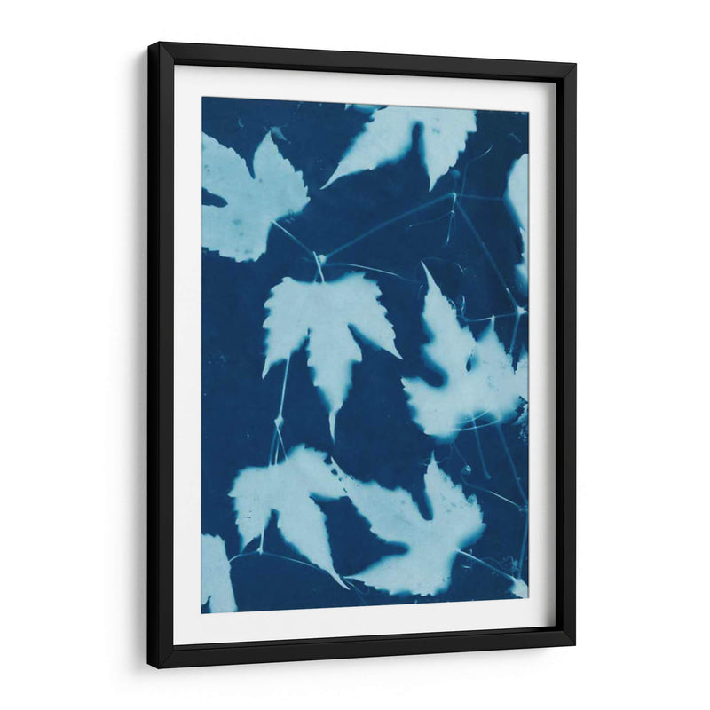 Cyanotype No.10 - Renee W. Stramel | Cuadro decorativo de Canvas Lab