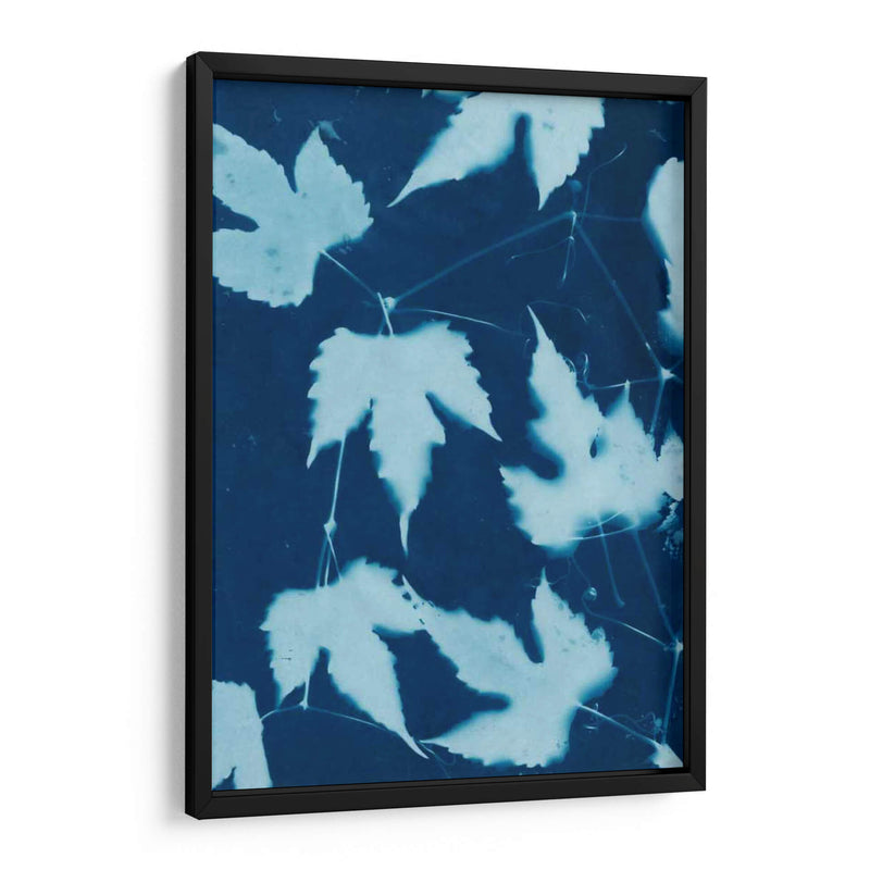Cyanotype No.10 - Renee W. Stramel | Cuadro decorativo de Canvas Lab