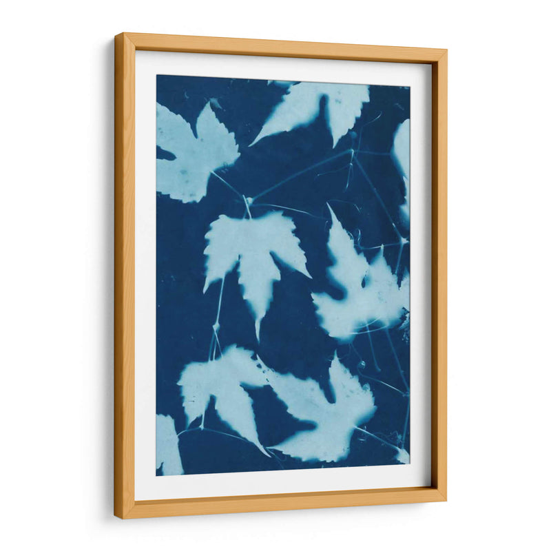 Cyanotype No.10 - Renee W. Stramel | Cuadro decorativo de Canvas Lab