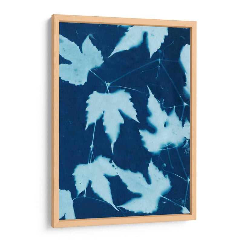 Cyanotype No.10 - Renee W. Stramel | Cuadro decorativo de Canvas Lab