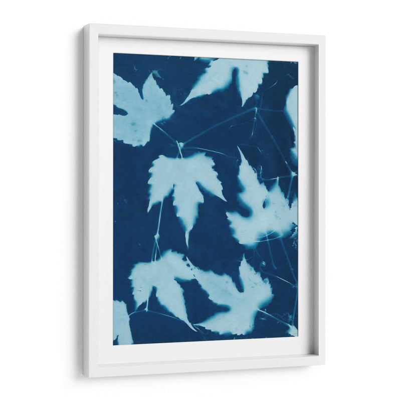 Cyanotype No.10 - Renee W. Stramel | Cuadro decorativo de Canvas Lab