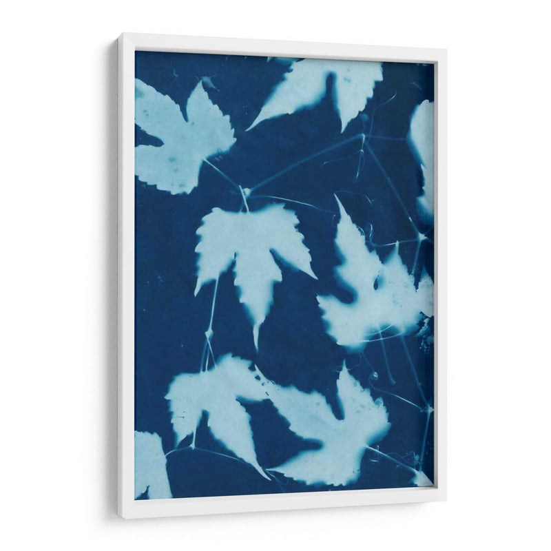 Cyanotype No.10 - Renee W. Stramel | Cuadro decorativo de Canvas Lab