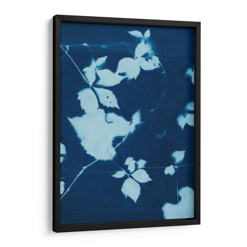 Cyanotype No.11 - Chariklia Zarris | Cuadro decorativo de Canvas Lab