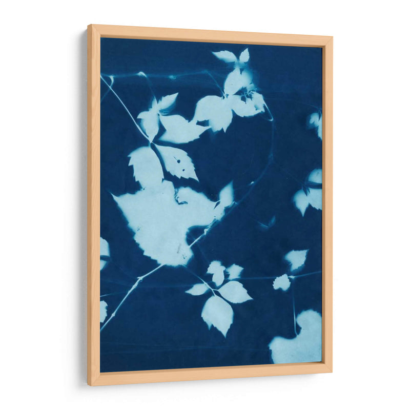 Cyanotype No.11 - Chariklia Zarris | Cuadro decorativo de Canvas Lab