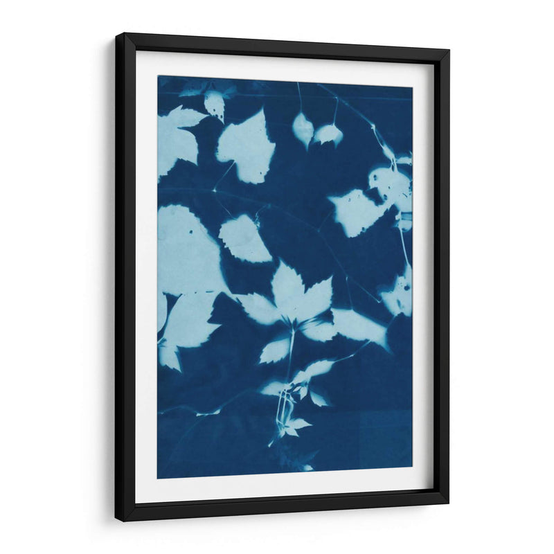 Cyanotype No.12 - Chariklia Zarris | Cuadro decorativo de Canvas Lab