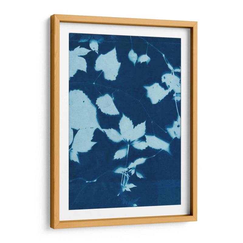 Cyanotype No.12 - Chariklia Zarris | Cuadro decorativo de Canvas Lab