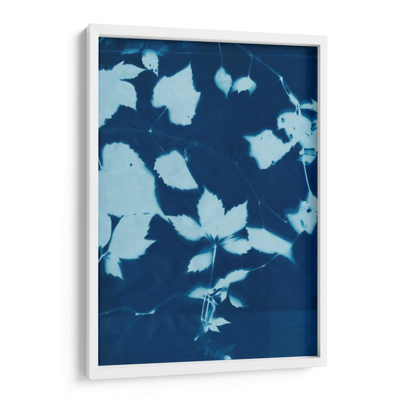 Cyanotype No.12 - Chariklia Zarris | Cuadro decorativo de Canvas Lab